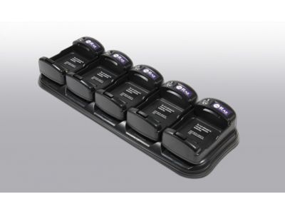MultiRAE Battery charger